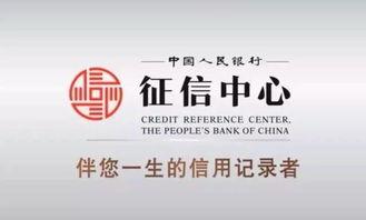 东坑最新爆料,揭秘神秘事件背后的真相  第1张